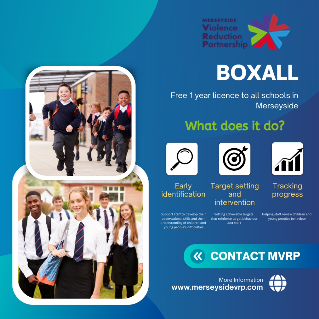 Boxall assessment tool graphic