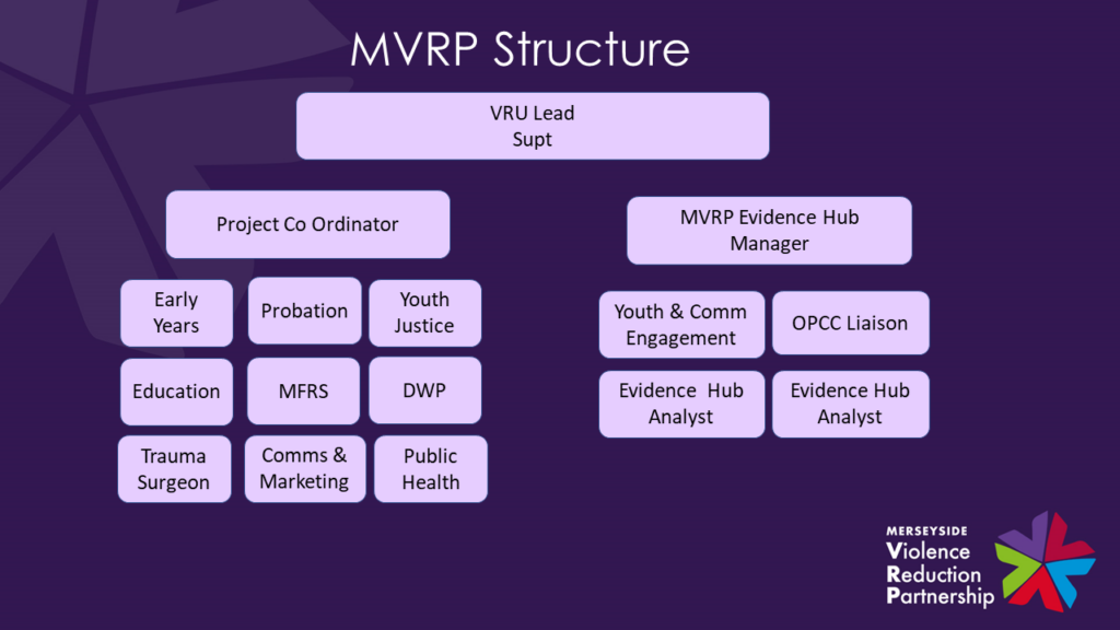 Diagram of VRP team structure