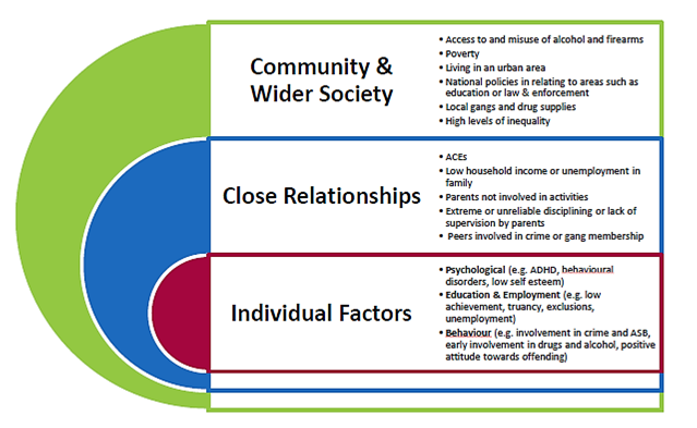 Serious VIolence Factors Graphic. 