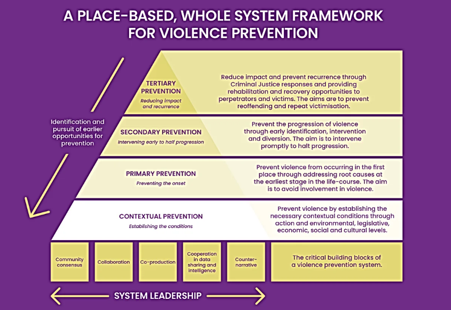 A place -based whole system framework for violence prevention