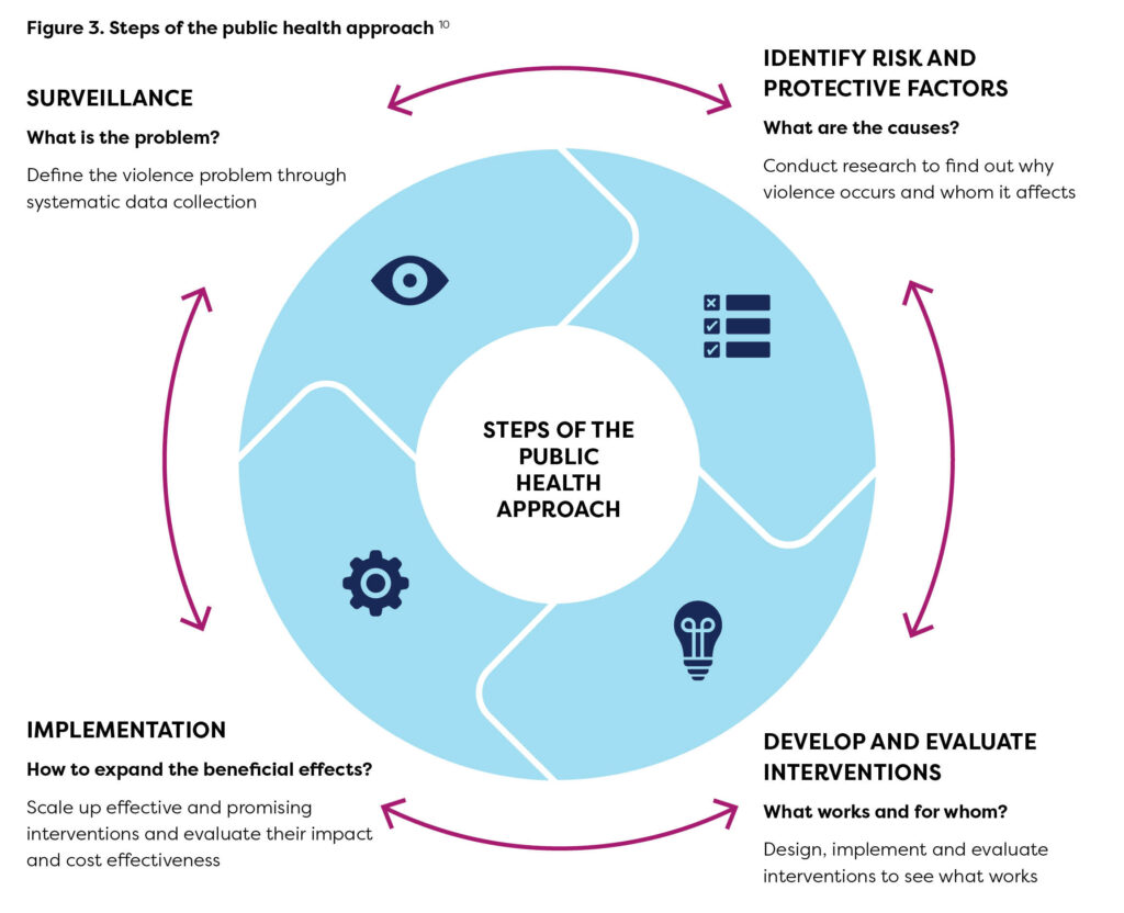 Steps of the public health approach
