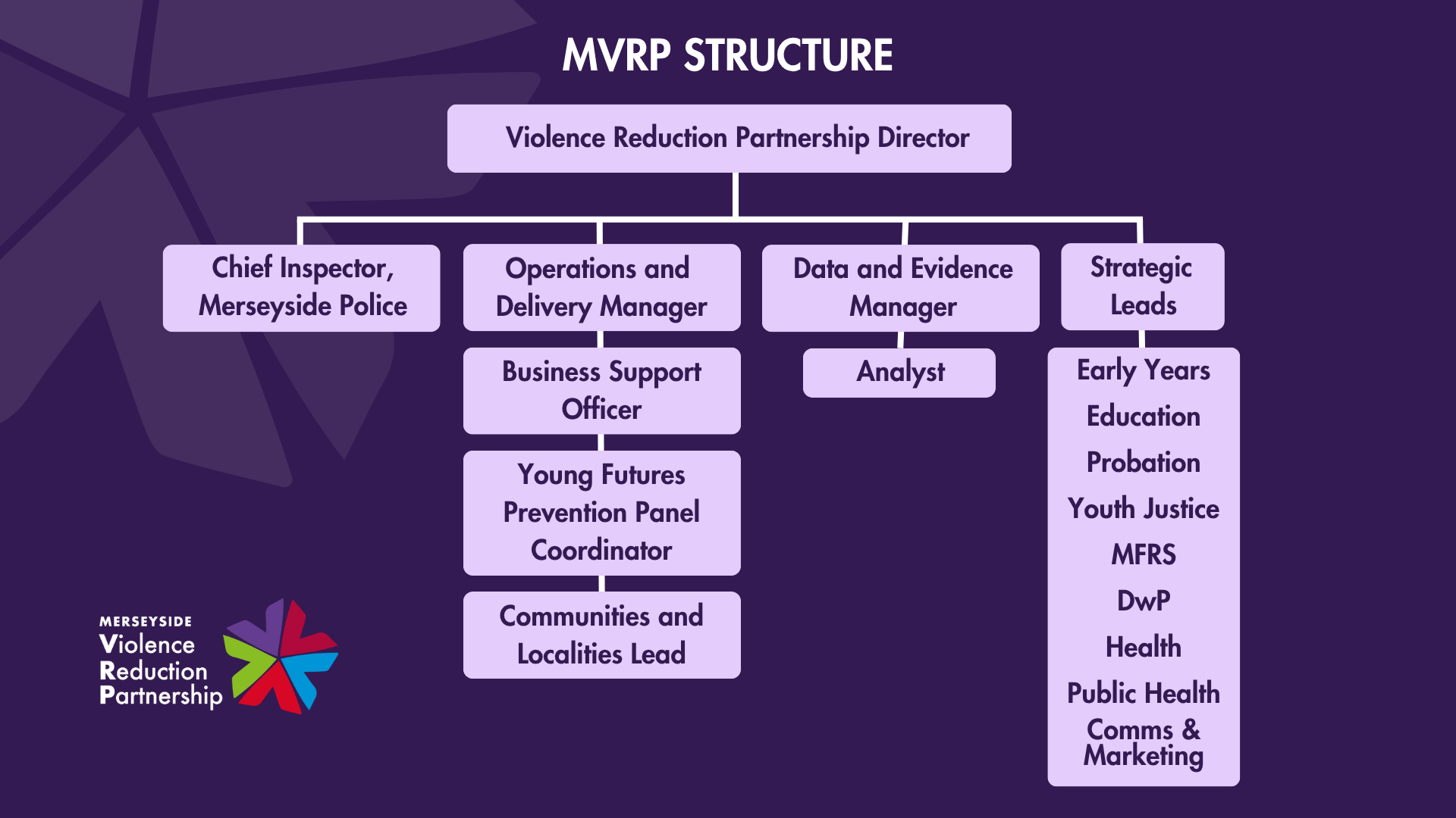 This diagram is a breakdown of the organisation structure. Led by the Violence Reduction Partnership Director.